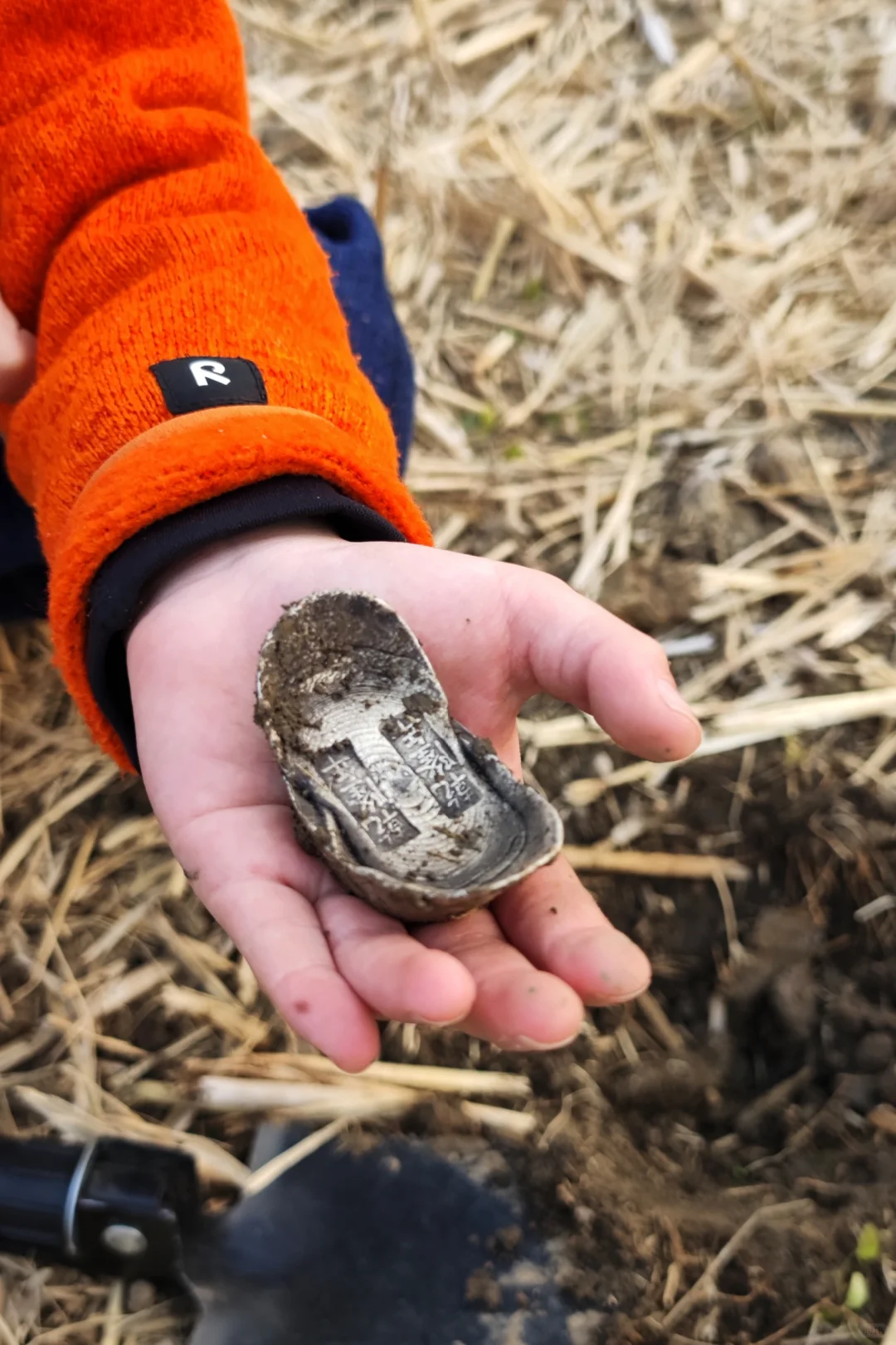 稻田探宝下午茶。