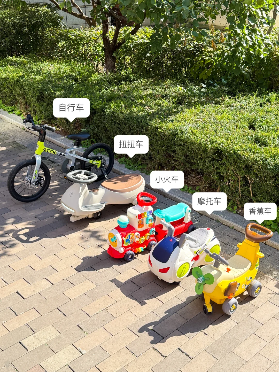 听说我的摊位在小区挺出名的……