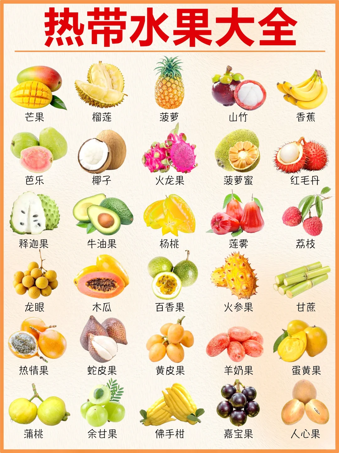 热带水果大集合