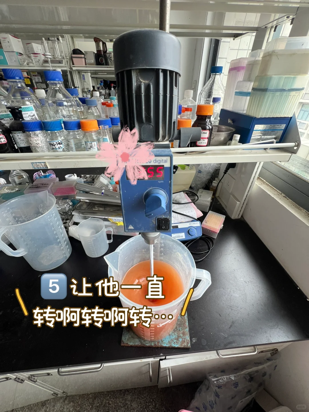 食品实验必修|高速搅拌机怎么安全使用?