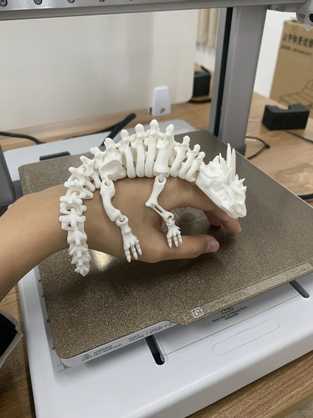 疯了！我用3D打印做了个手骨模