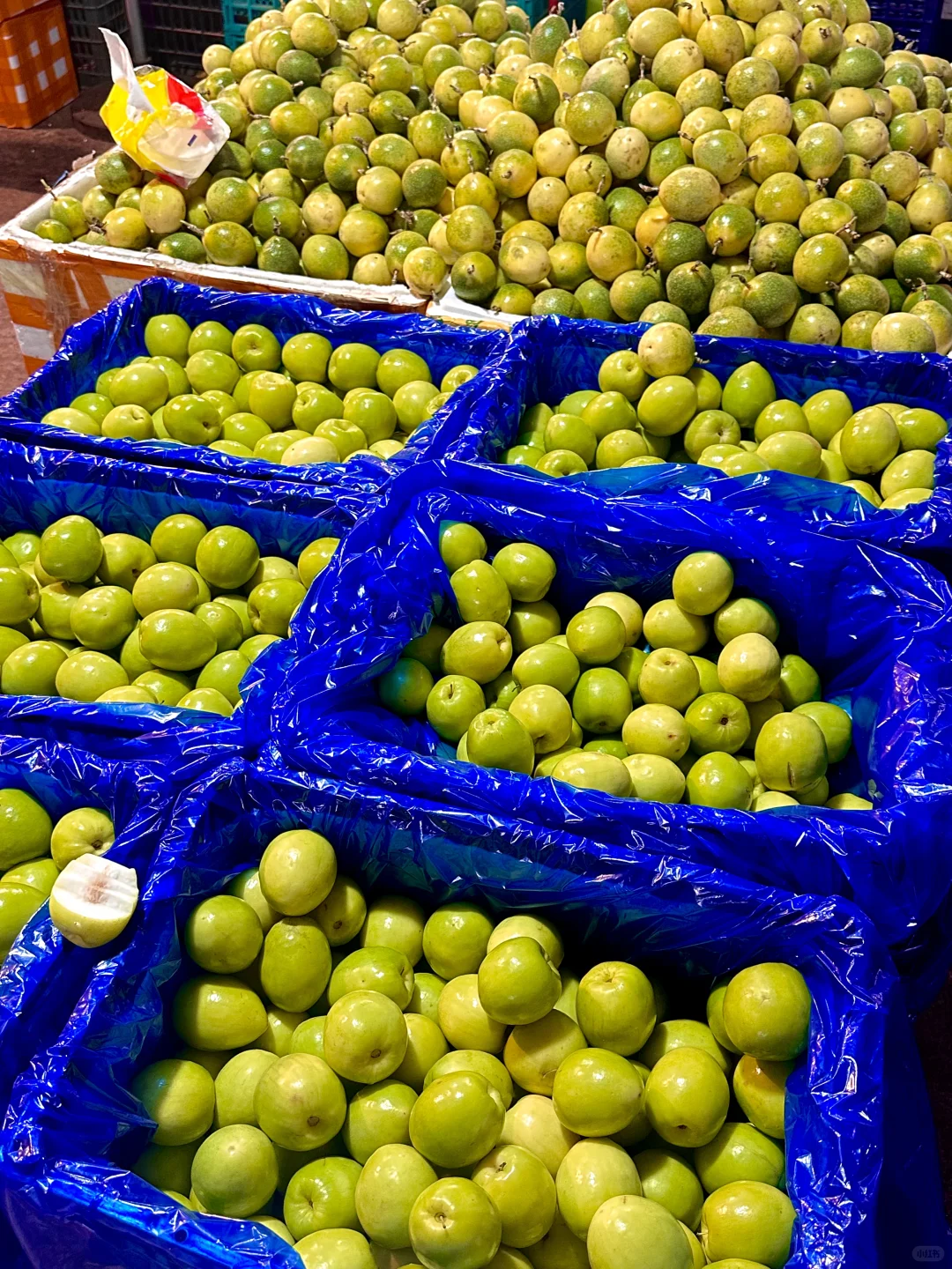 北海｜水果批发市场，我选杭州路市场路边摊❤️