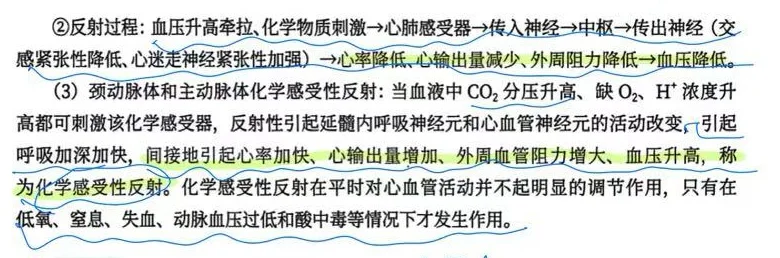 考研415生理带背day16