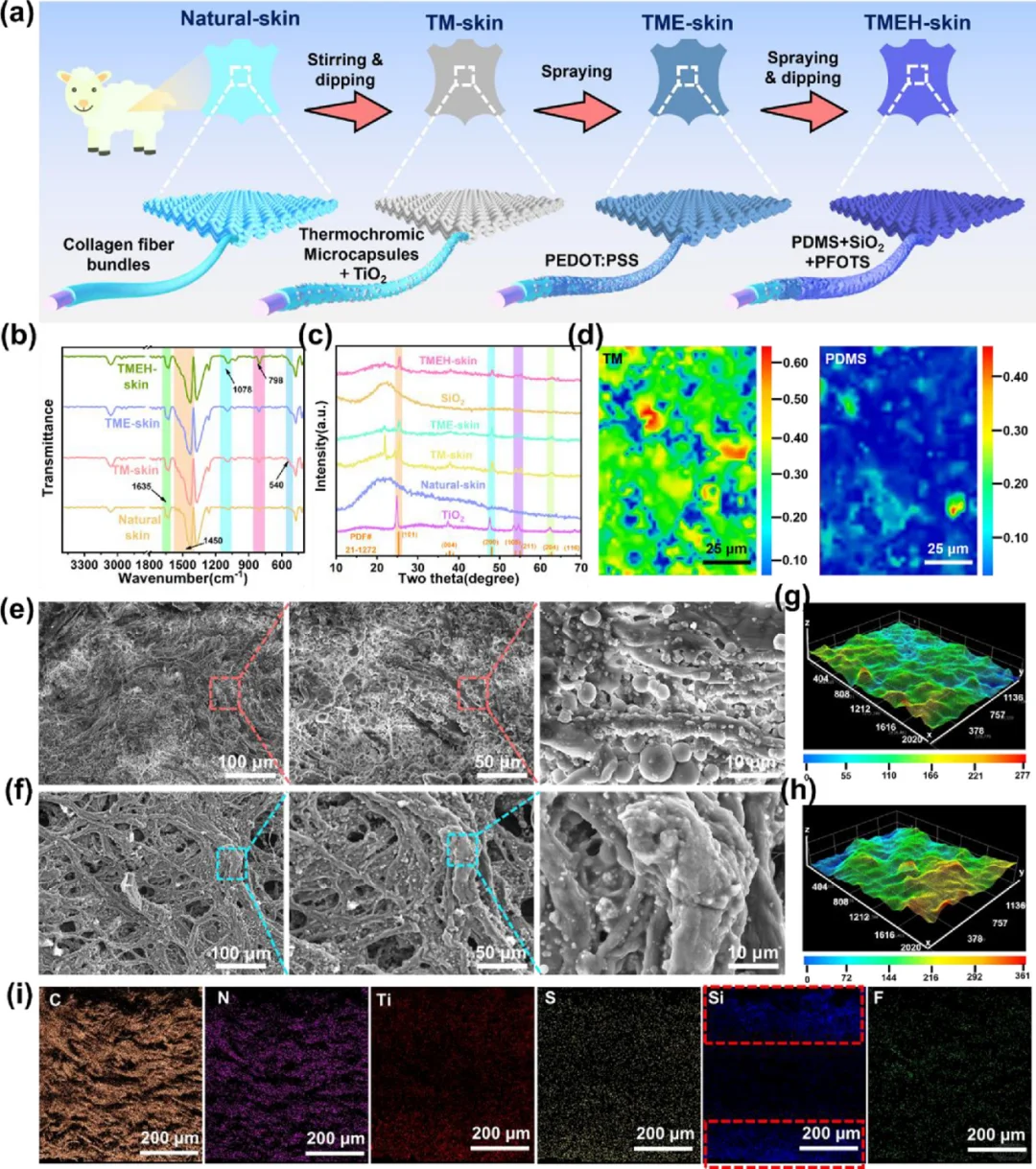全季节自适应热管理用仿生纤维热致变色材料