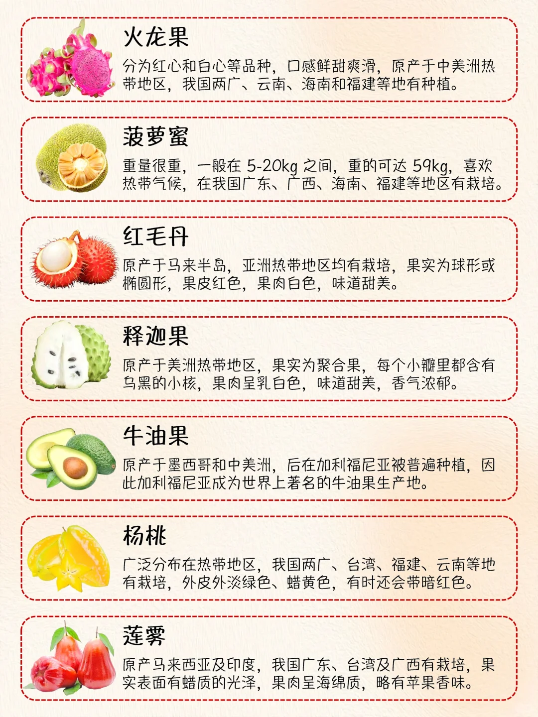 热带水果大集合