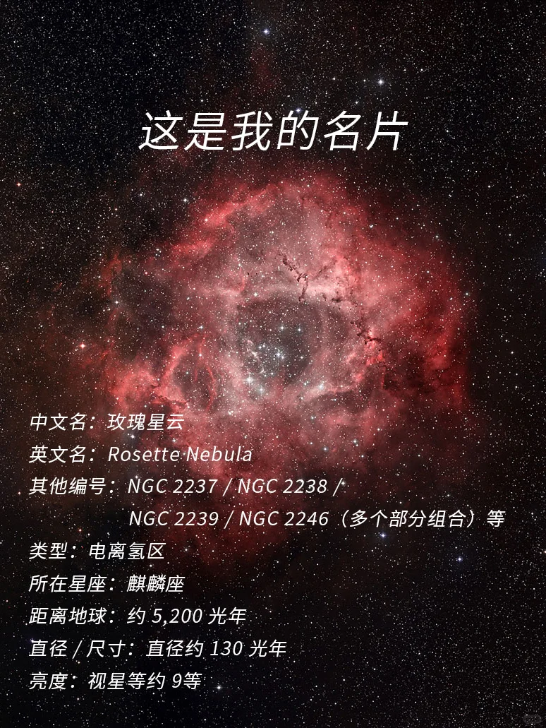 5200光年外的永生玫瑰