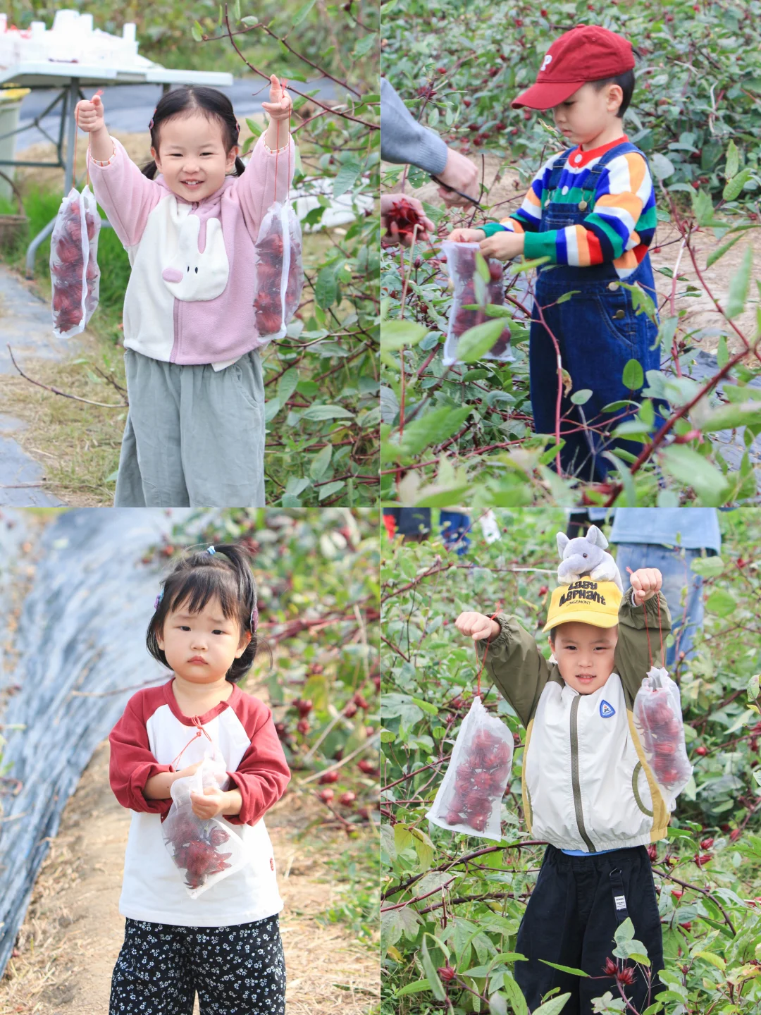 住房车｜亲子共同体验向往的田园生活??‍?