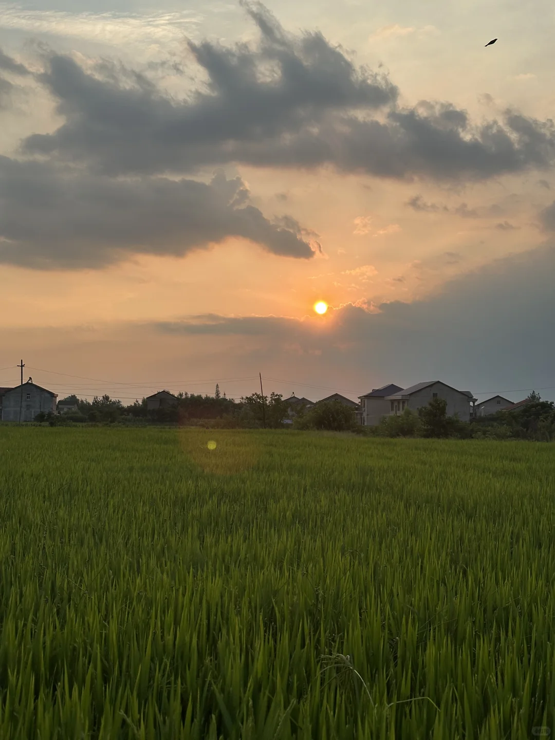鸡叫城考古plog丨沉浸式挖土进行时?