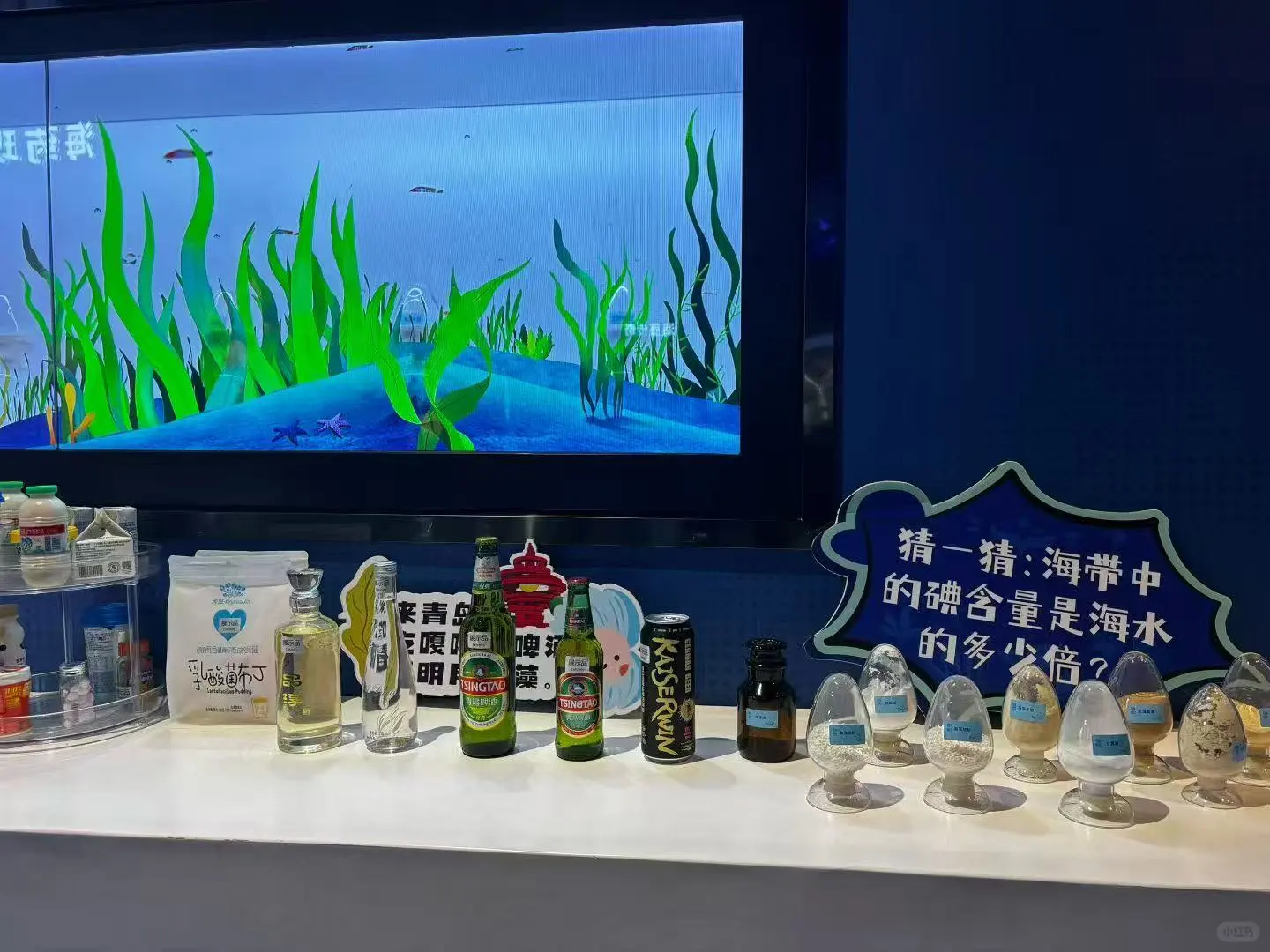 ?变革者之周研学之旅：山东青岛