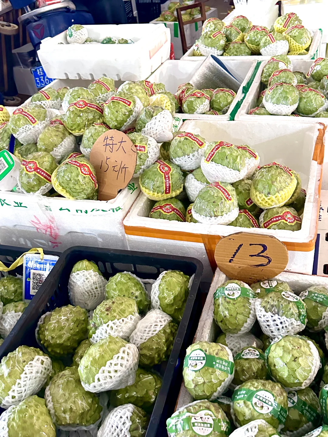 北海｜水果批发市场，我选杭州路市场路边摊❤️