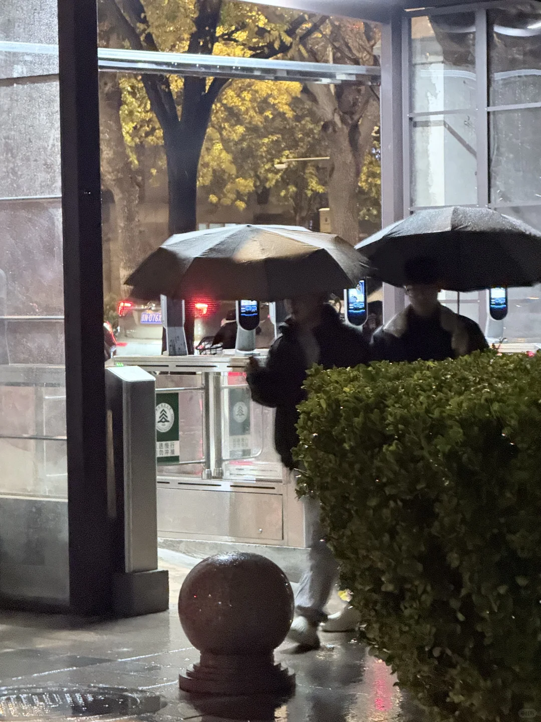 北林南三门开了我去！