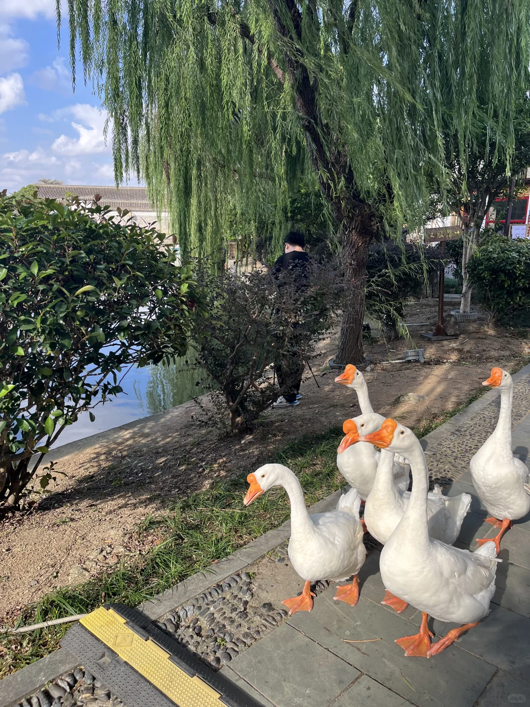 宁波郑氏十七房有文化底蕴的别墅酒店