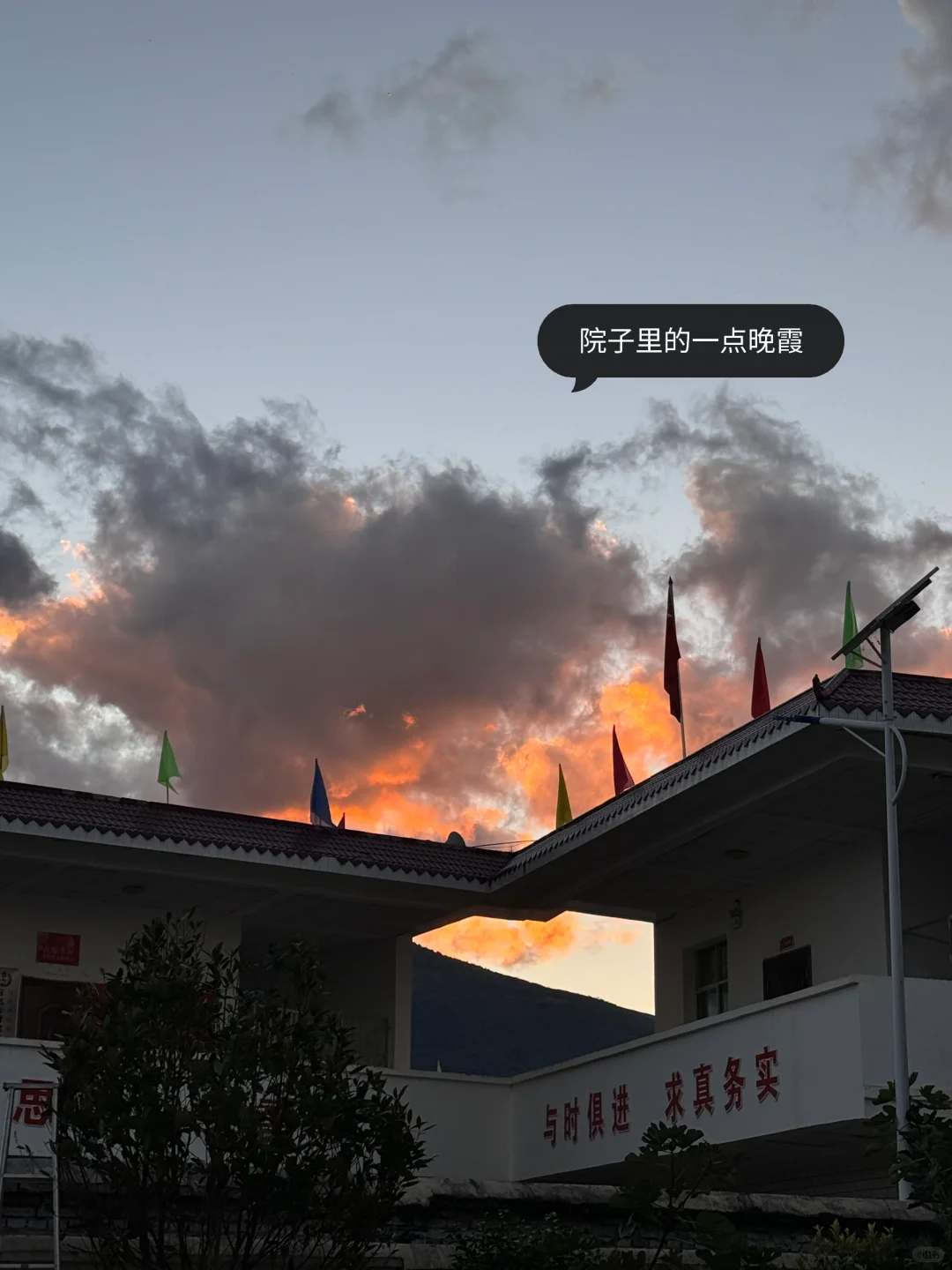 乡镇林业站工作日常｜巡山 赶集 闲适的一天