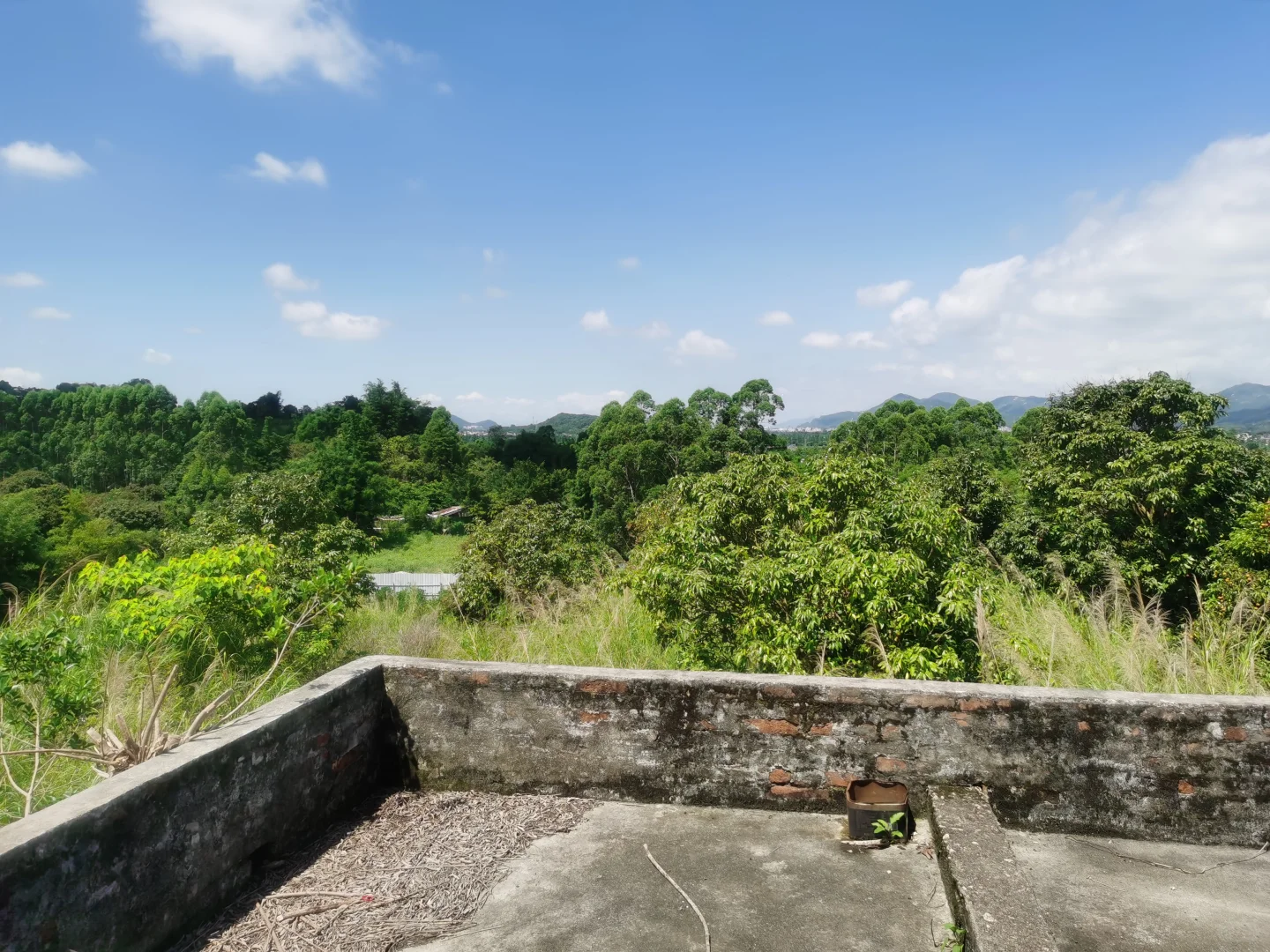 大量养殖的20亩果园