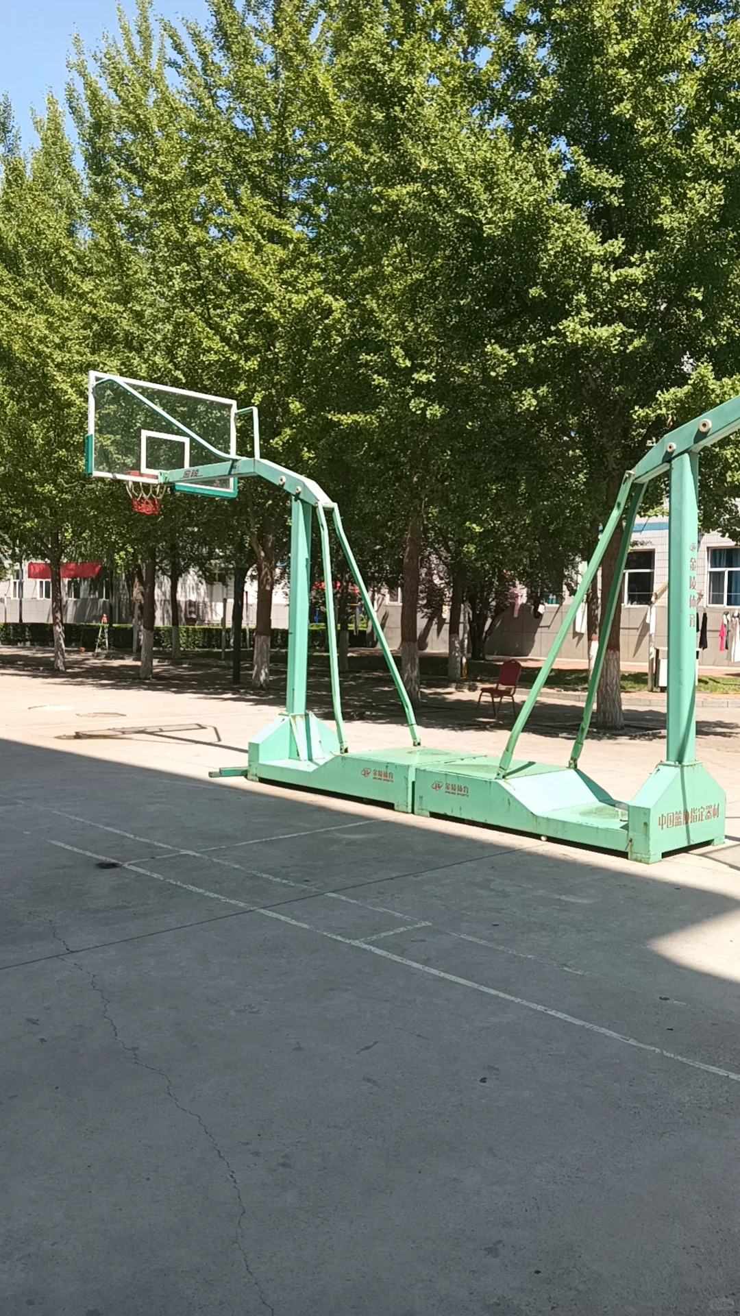 分享在林校一年感悟(致乐观积极的小同学)