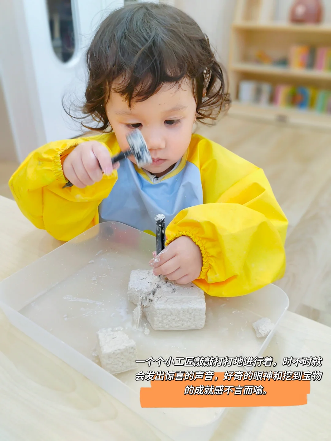 托班课程—寻宝日:科学探索《小小考古家》