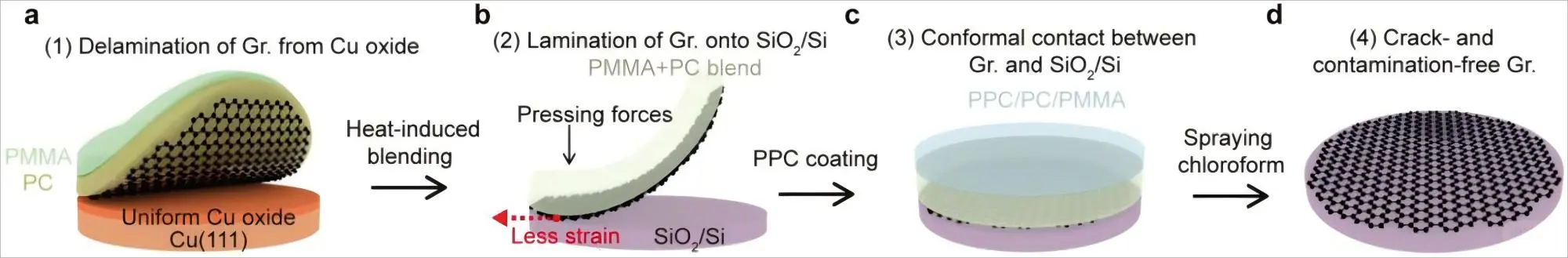 大面积石墨烯晶圆的快速可扩展转移
