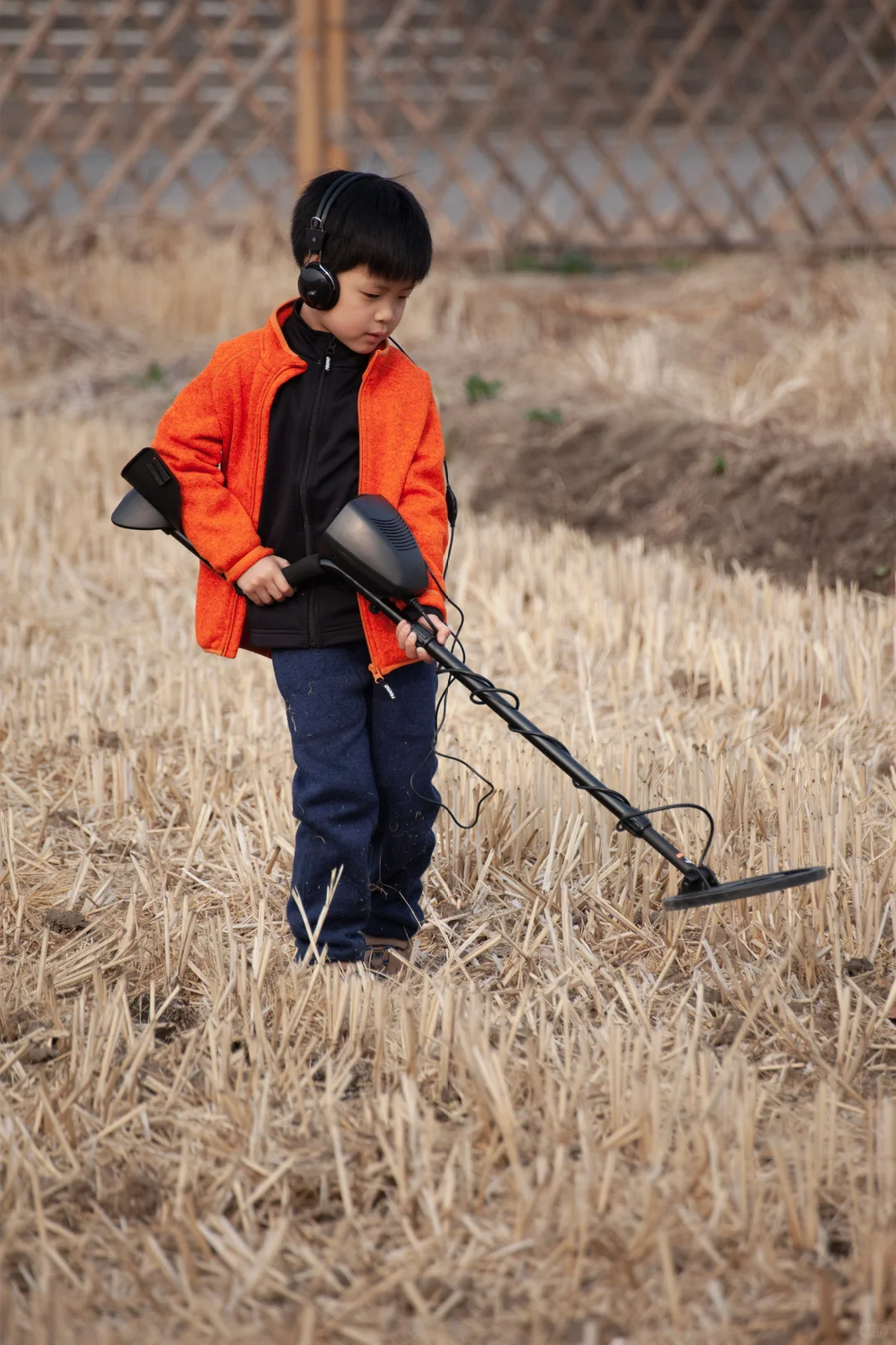 稻田探宝下午茶。