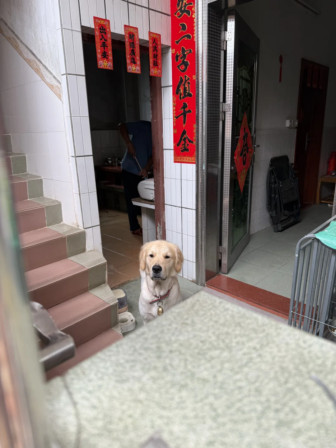 23年我种下果树结果了