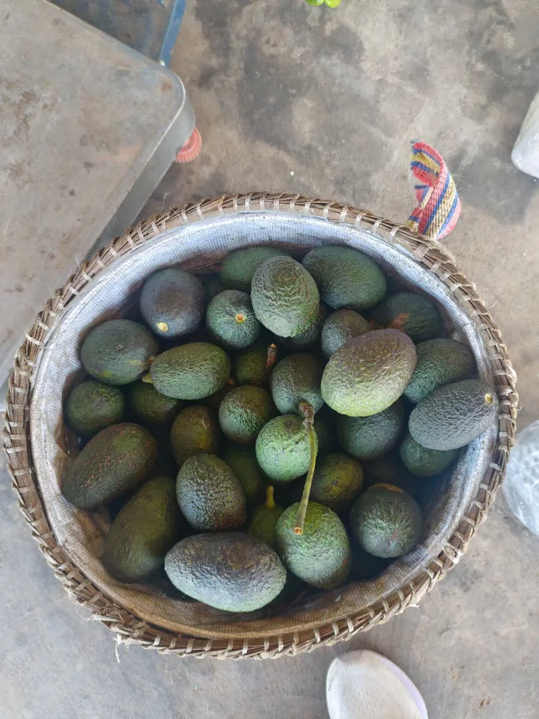 知道水果最多的童鞋送神秘奖品一份～