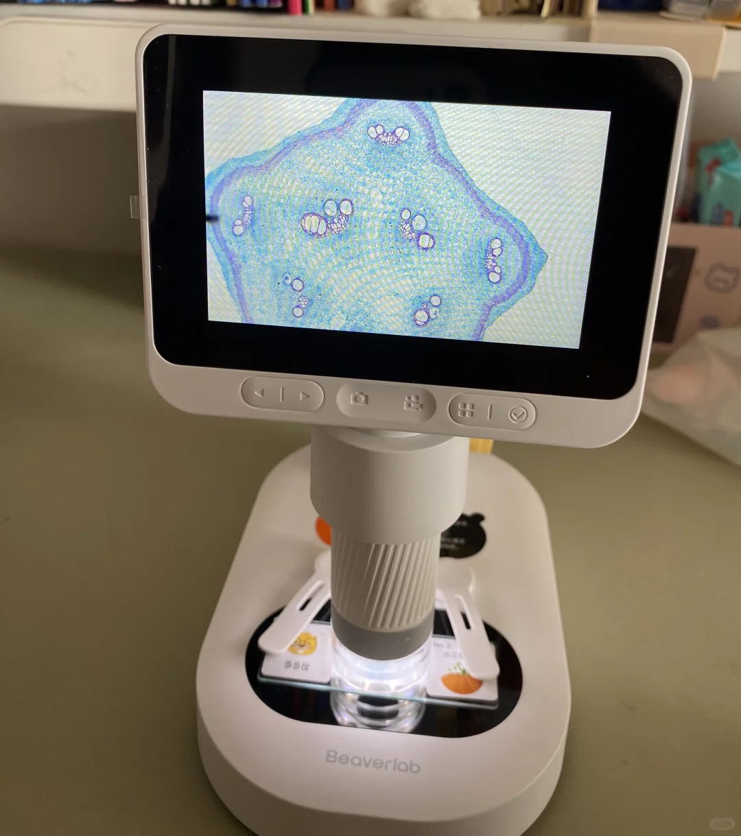 小学生生日礼物，玩具显微镜?