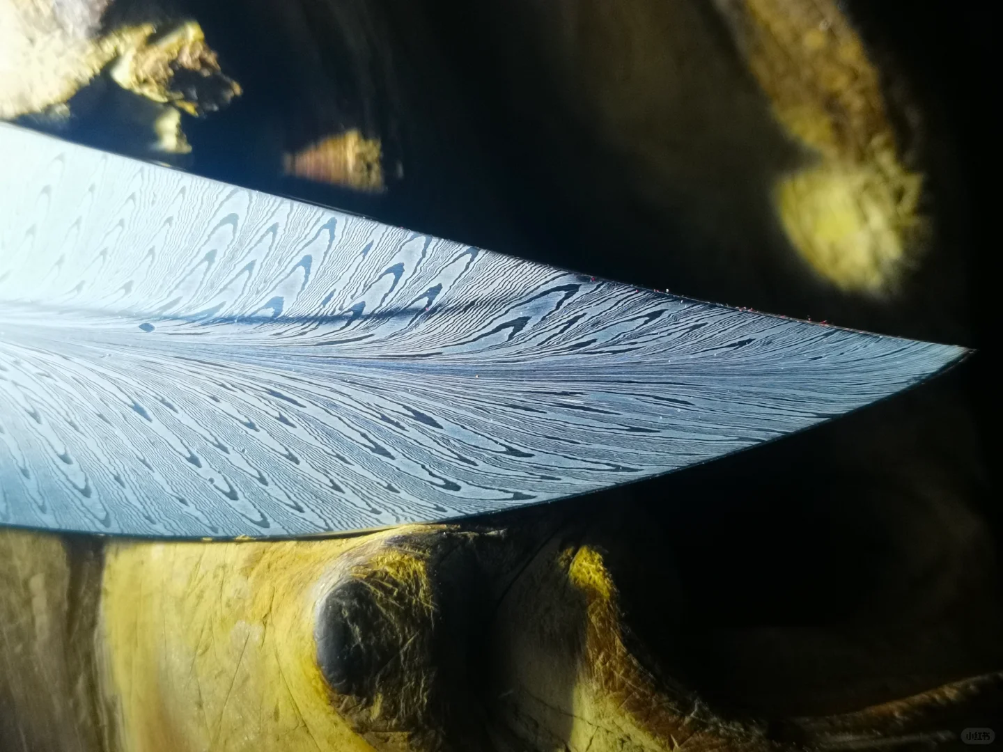 以前做的一个玩具