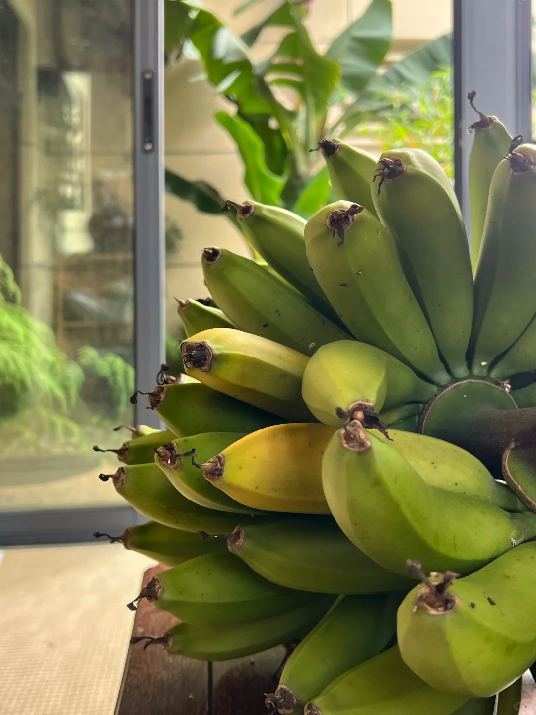 一年一结果,焦虑远离我