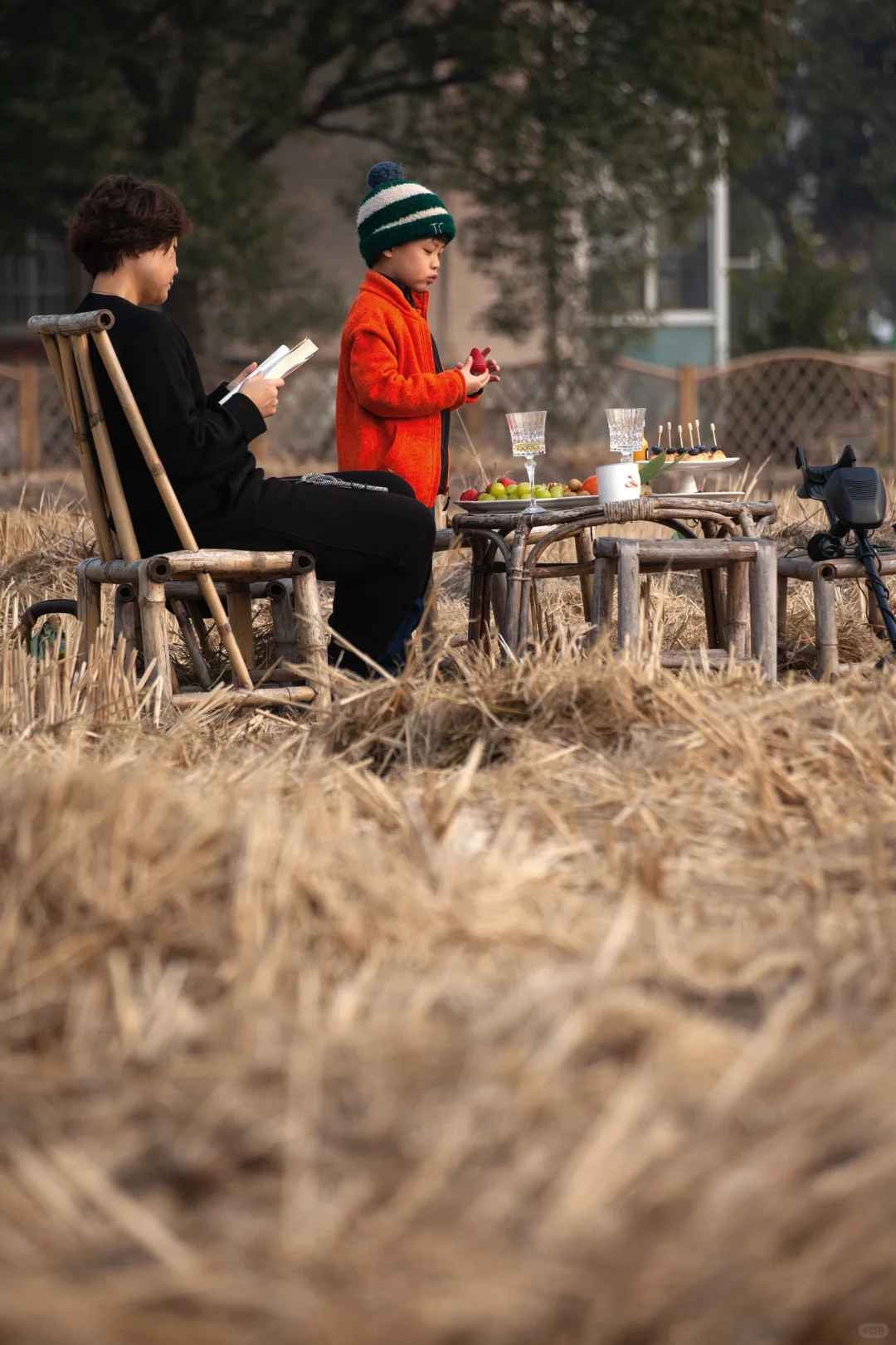 稻田探宝下午茶。