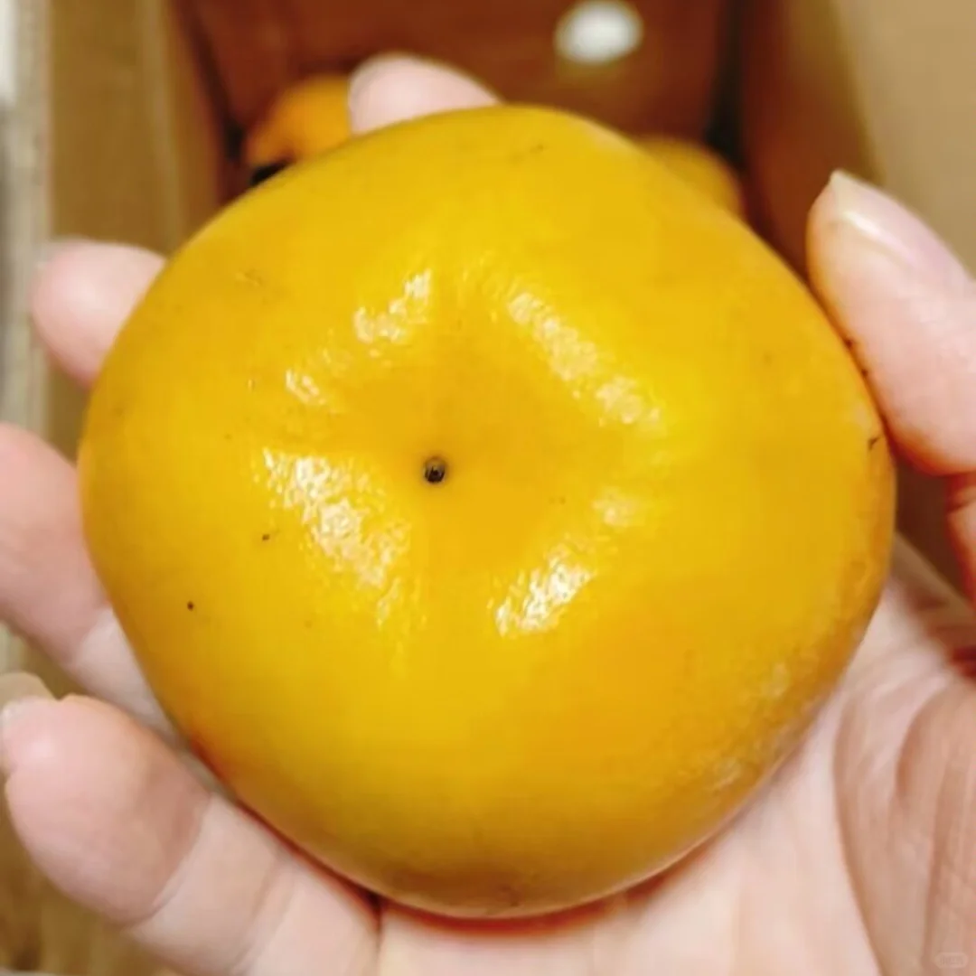 陪我瘦了30斤的减脂小水果....平价好吃!