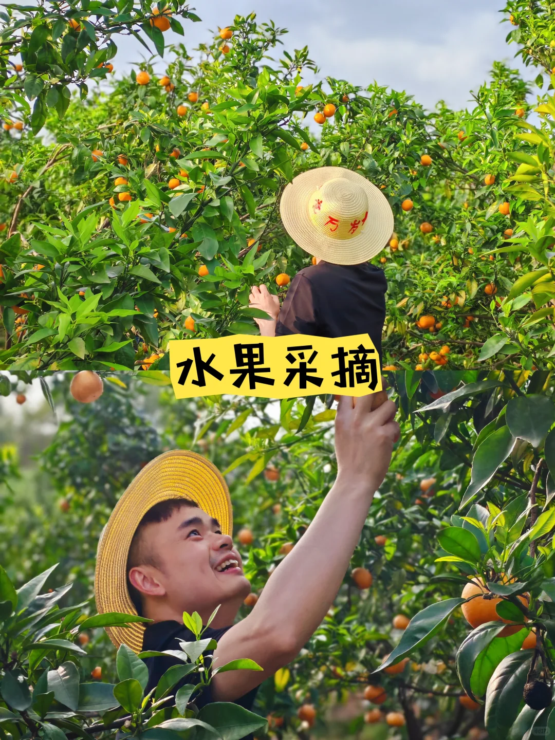 秋日团建爆款玩法！?农耕运动会太嗨了