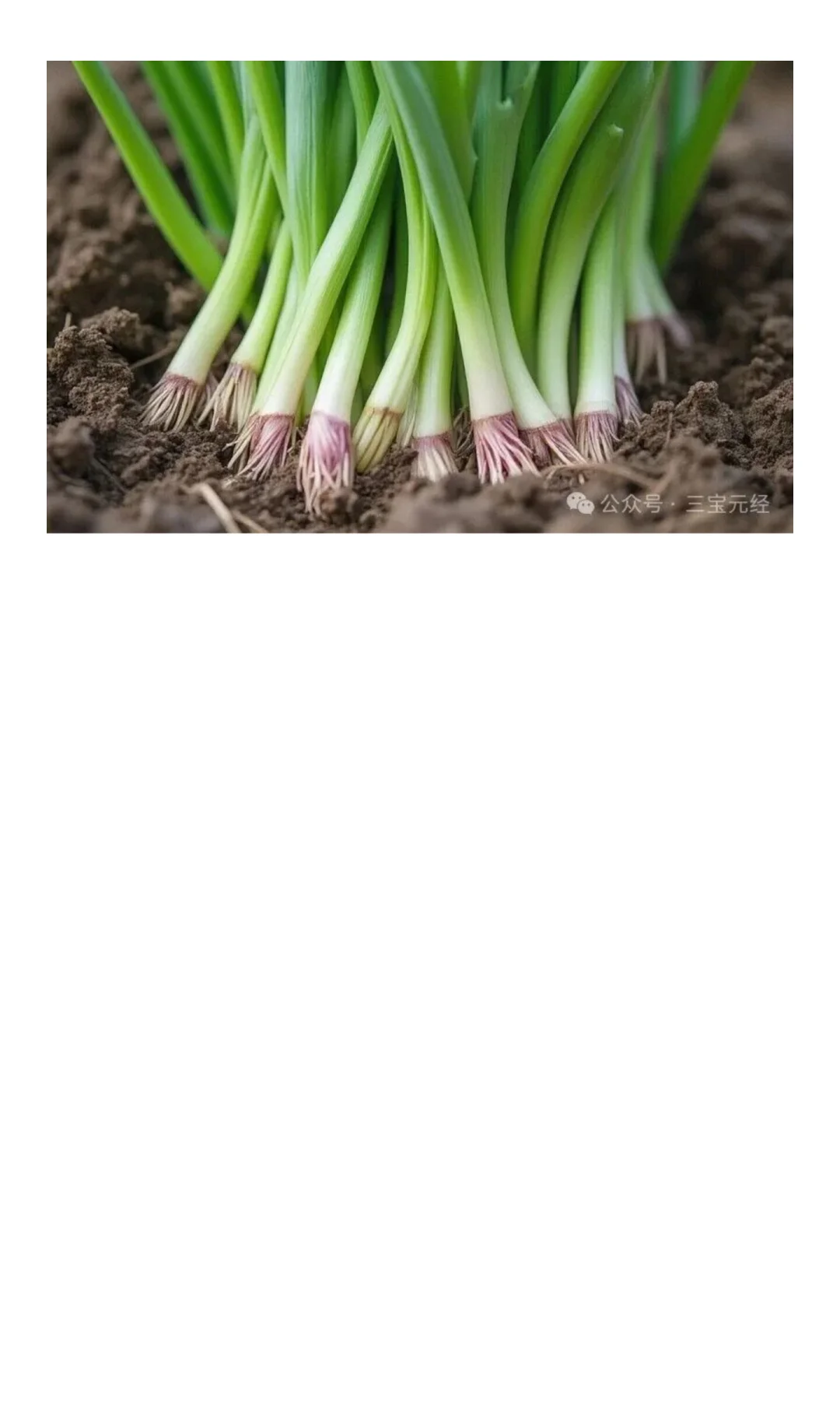 微塑料（microplastics）TMD有什么值得焦虑