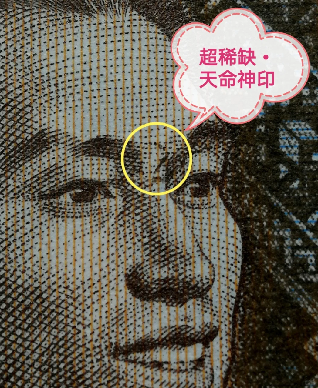 错版奇珍：8001 IZ3529冠号的多重瑕疵密码