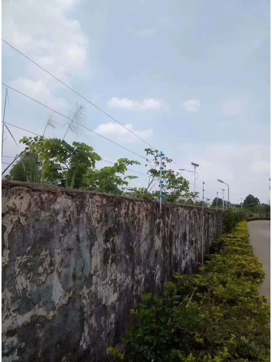 电子围栏与高压电网的区别