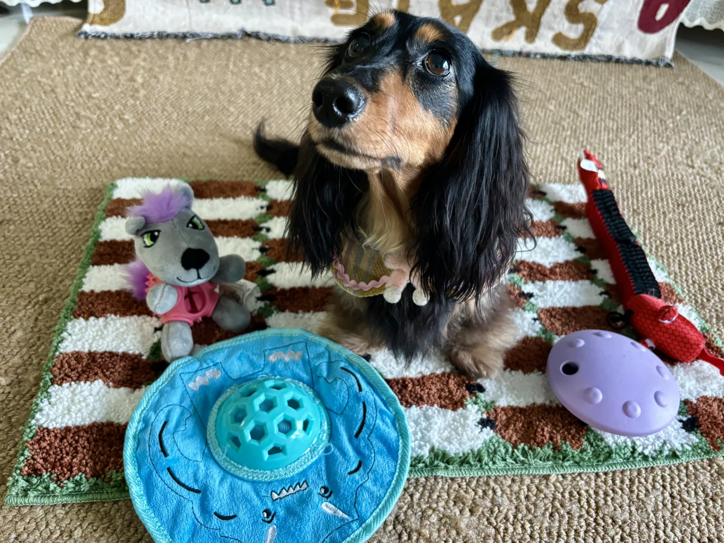 ?欢迎来到我的玩具城?part3