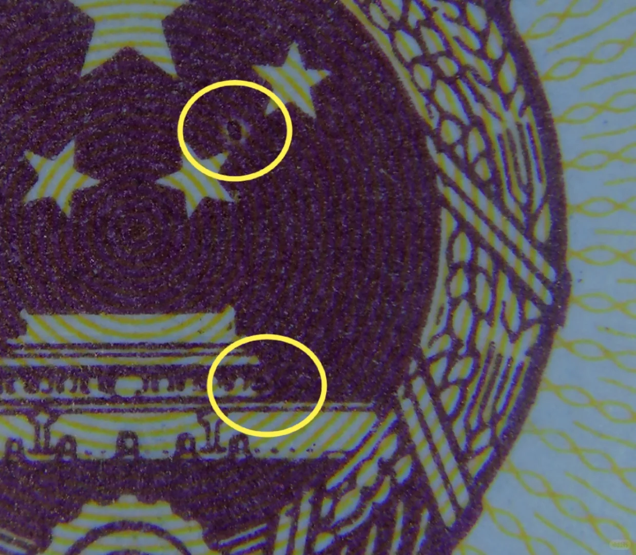 错版奇珍：8001 IZ3529冠号的多重瑕疵密码