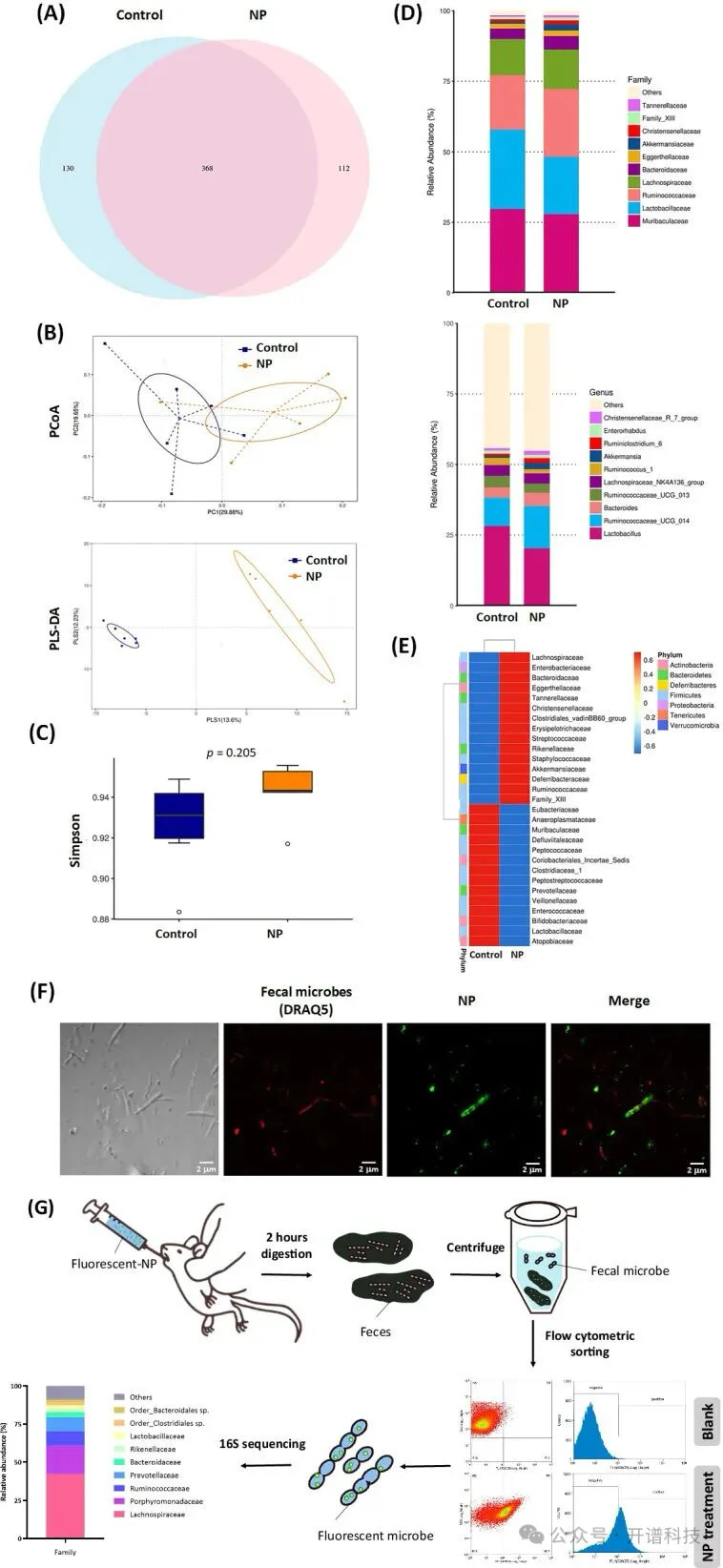 微塑料+转录组，揭示纳米塑料危害肠道健康新