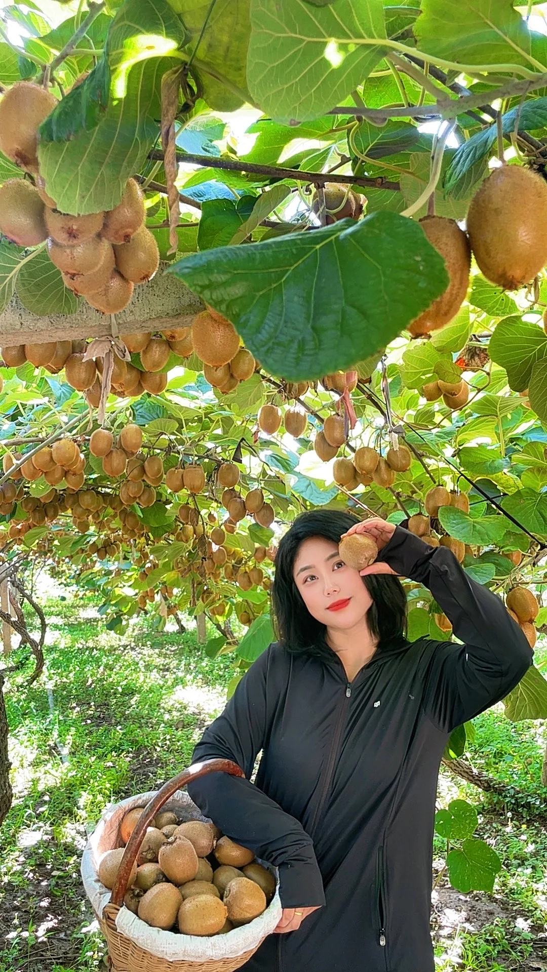 被猕猴桃治愈的季节到了！