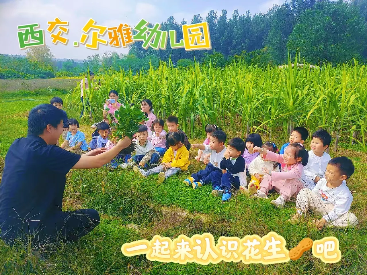 ?稻花香里说丰年、拾秋?