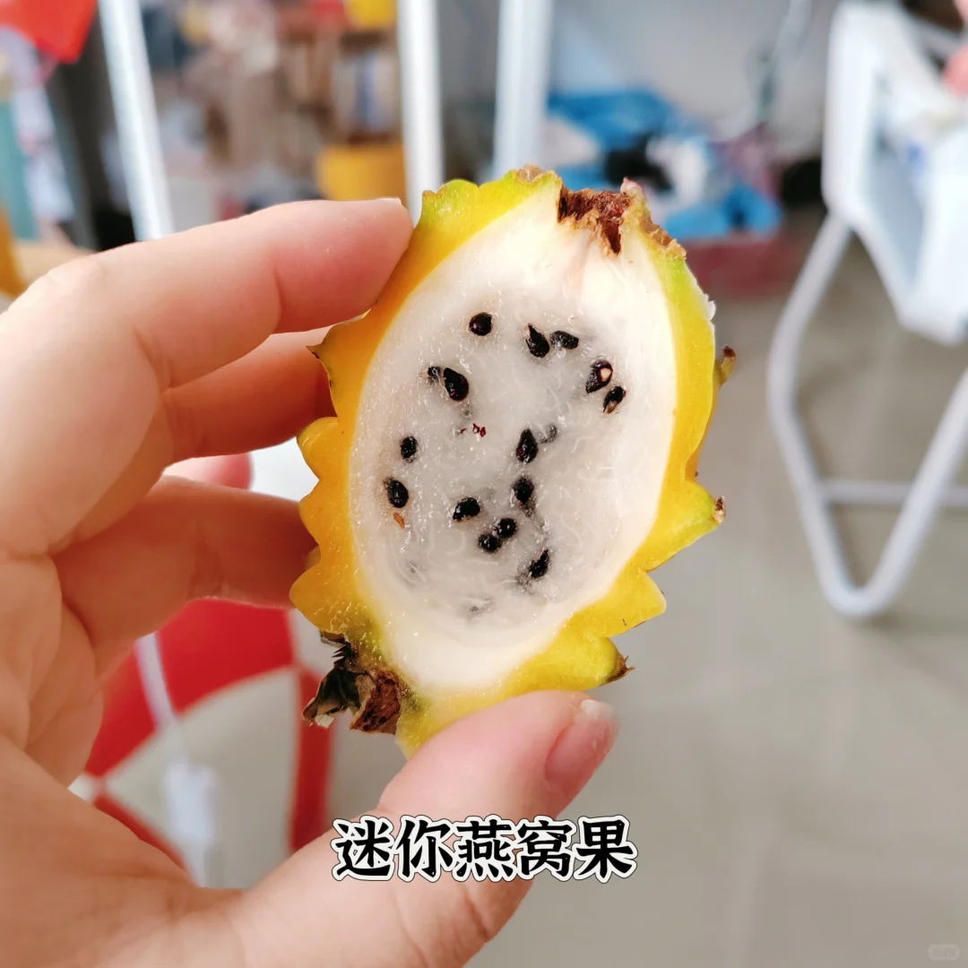近期吃过的小众水果合集