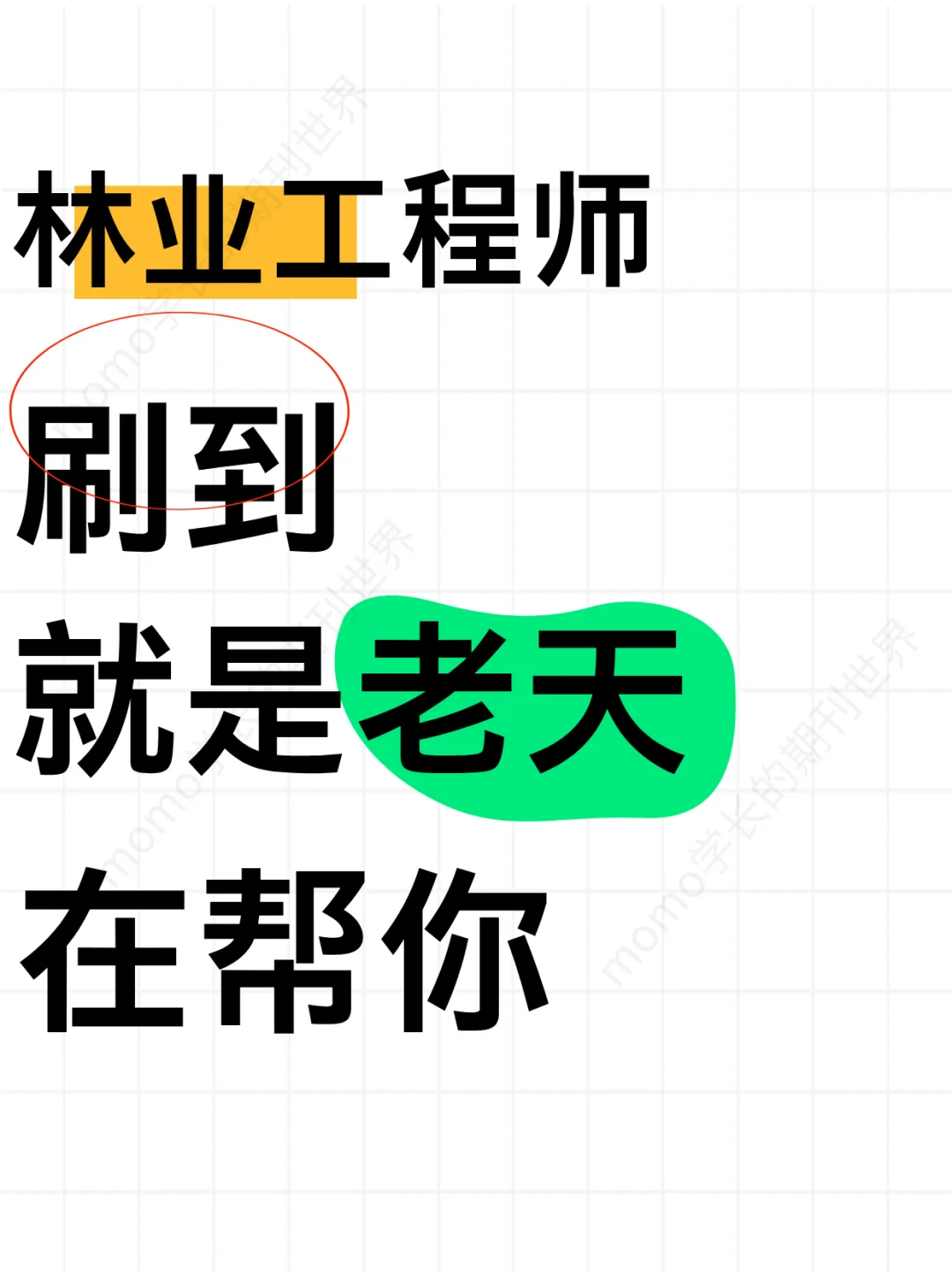 拜托了!评林业工程师的宝子都要刷到这篇