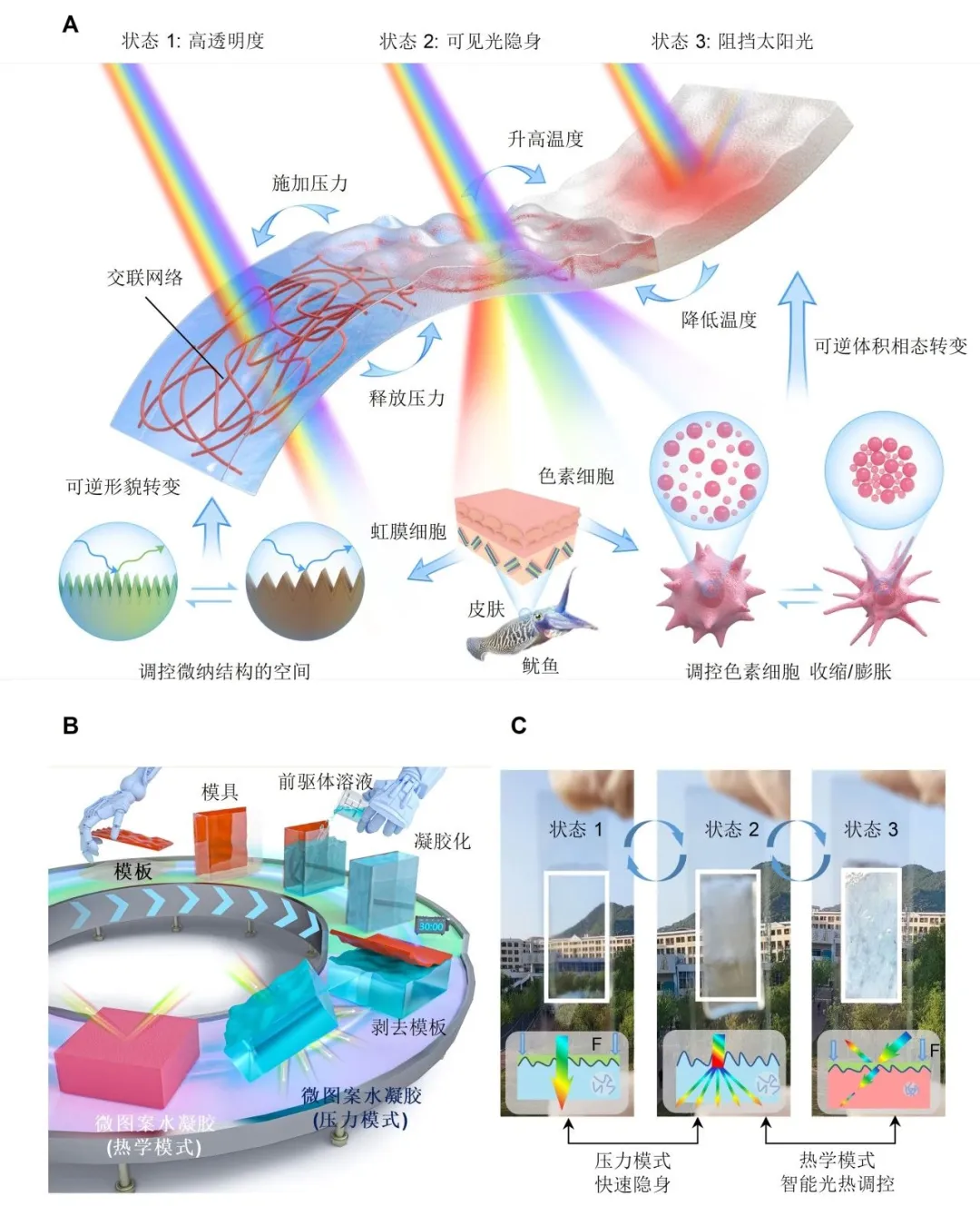 微图案热致变色水凝胶