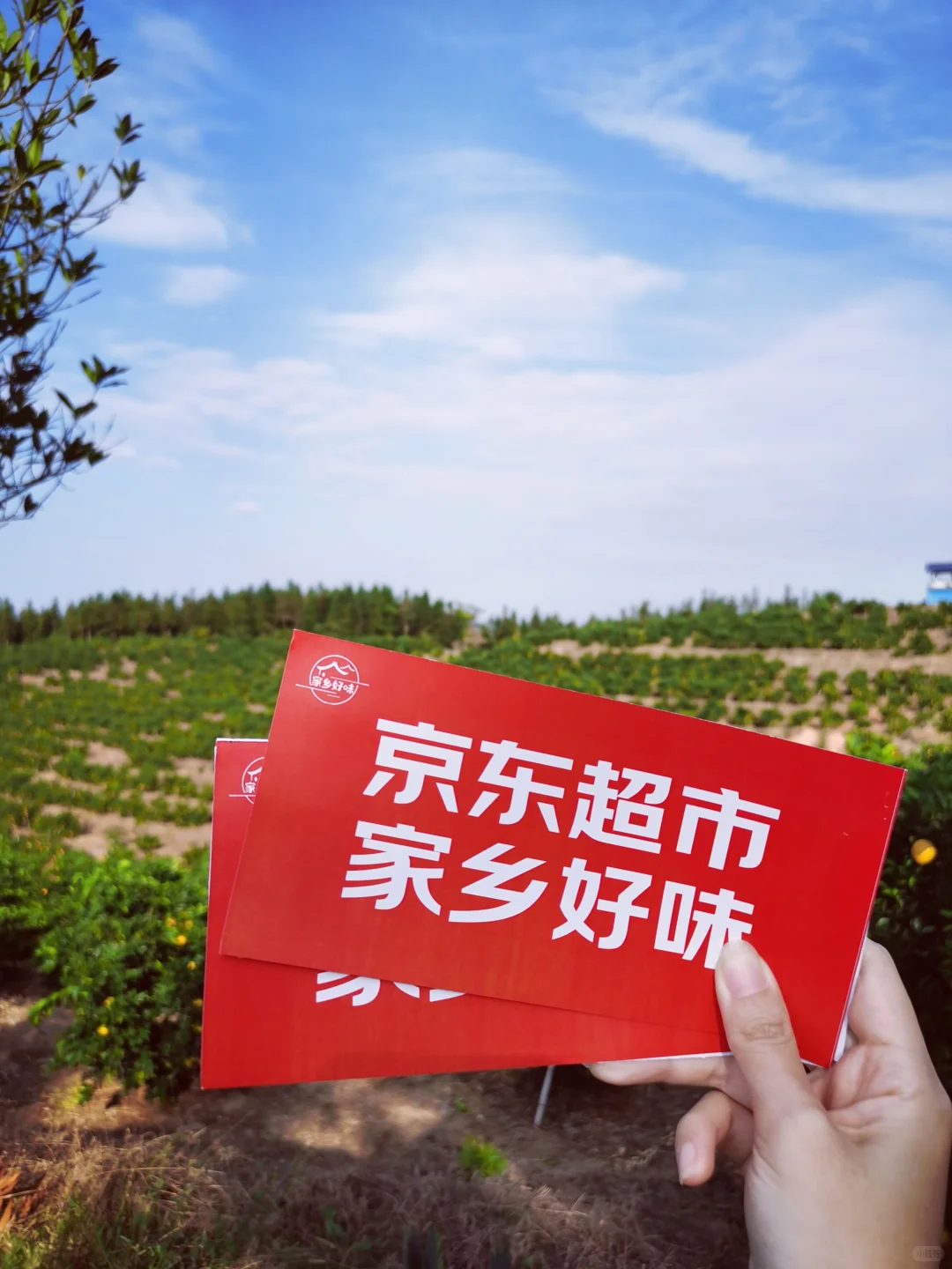 ❣️当你是个助农主播你就会拥有