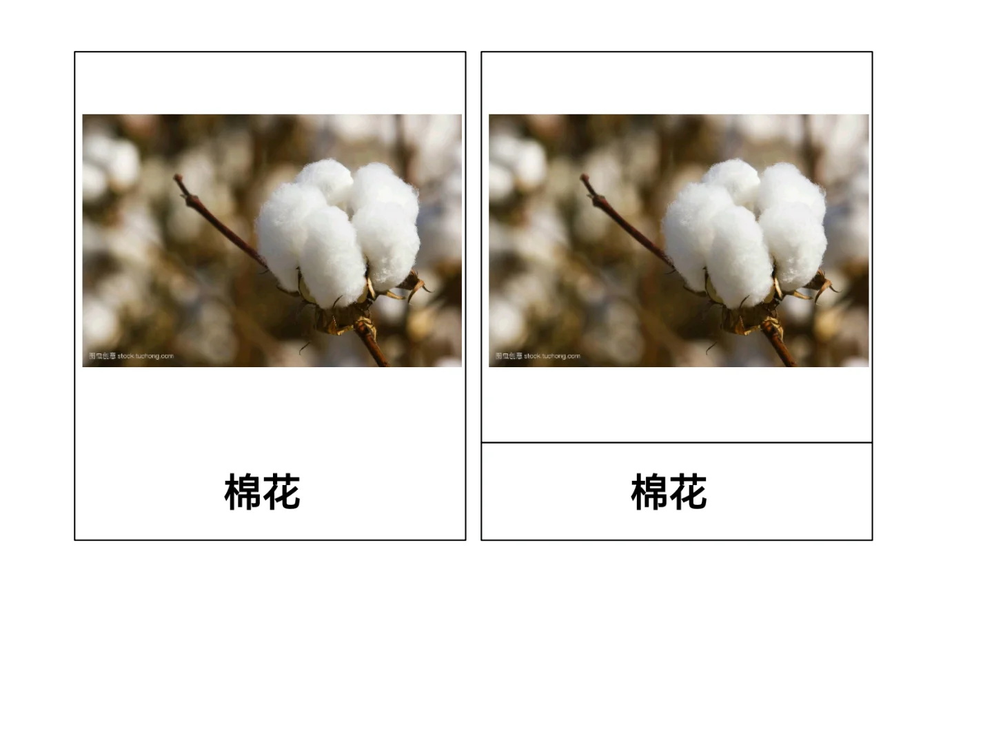 秋天主题-农作物和水果三段卡