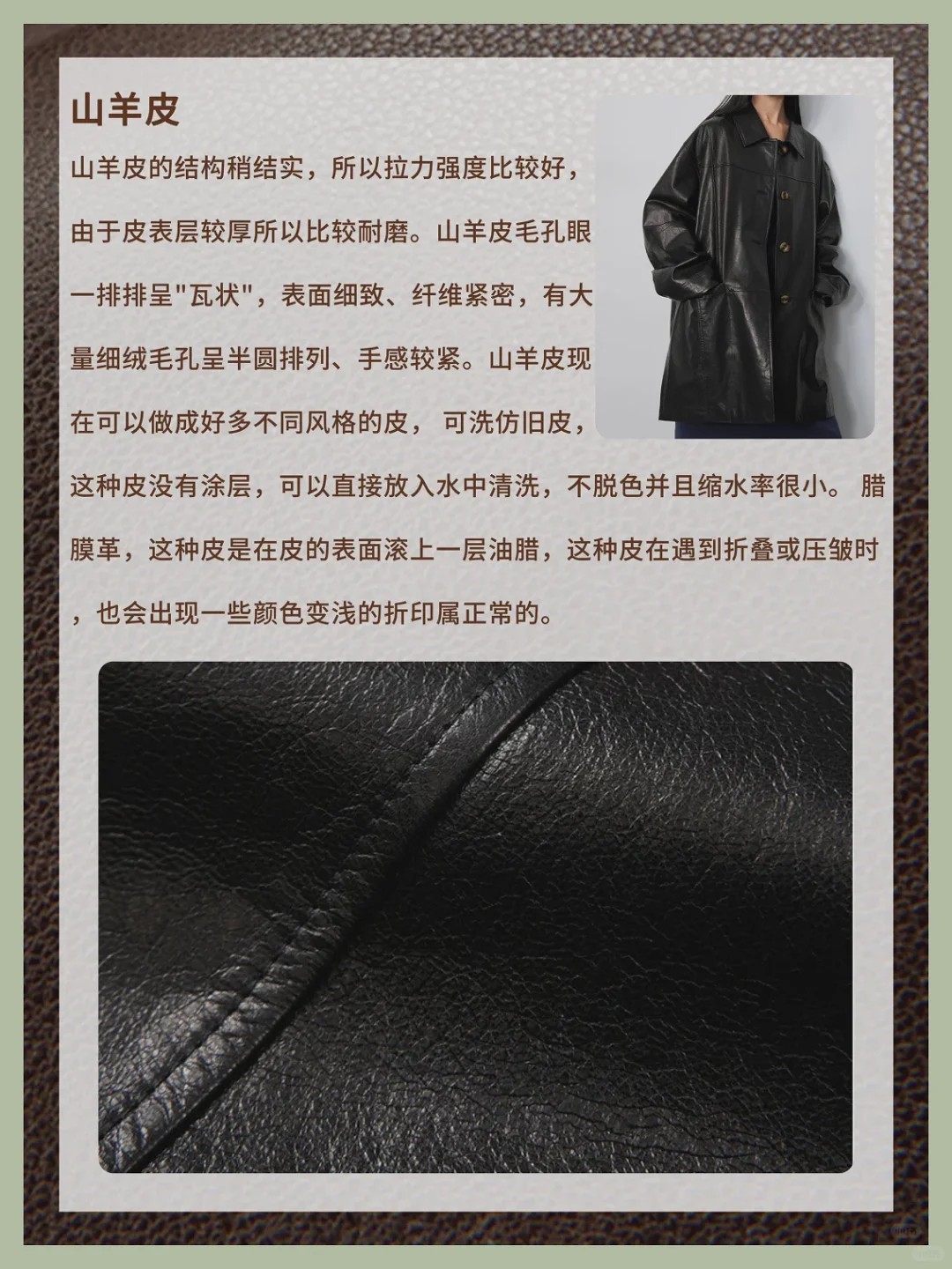 解析日常皮衣的常见面料