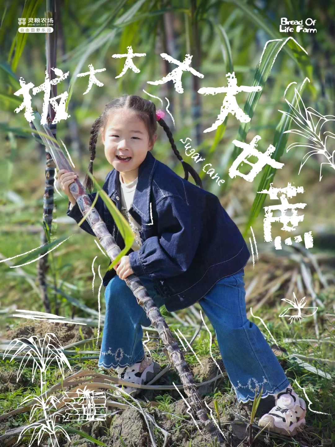 住房车｜亲子共同体验向往的田园生活??‍?