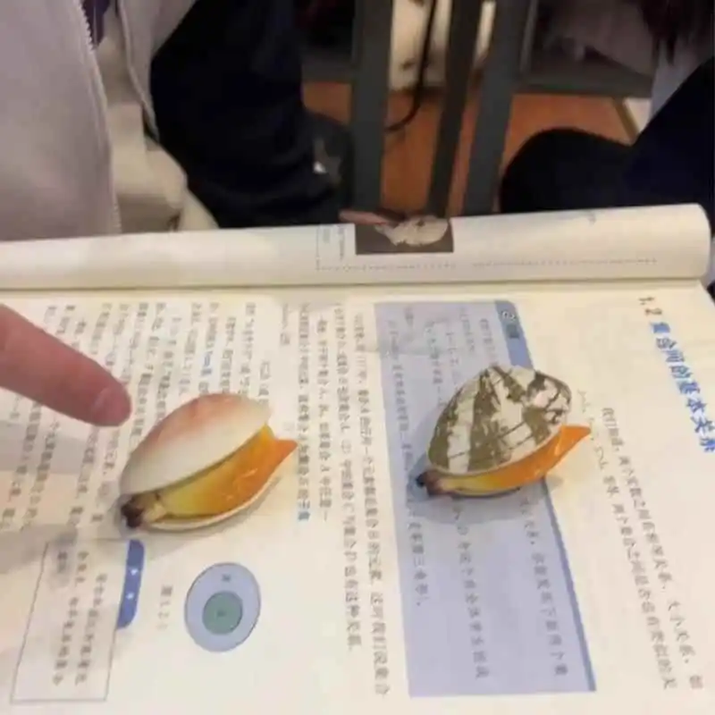 稀奇古怪玩具大集合，送礼就选它！