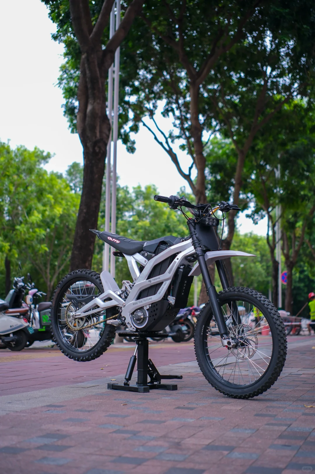 79bike pro带魔新翘头控制器