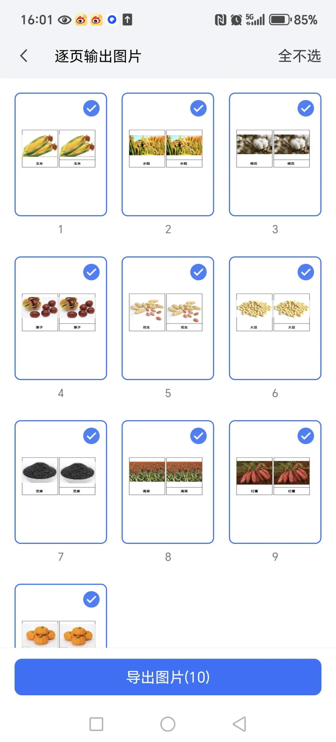 秋天主题-农作物和水果三段卡