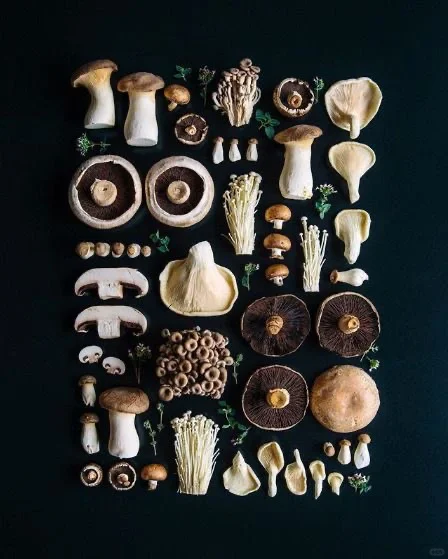 画画素材|这真的太治愈了！彩虹水果蔬菜?