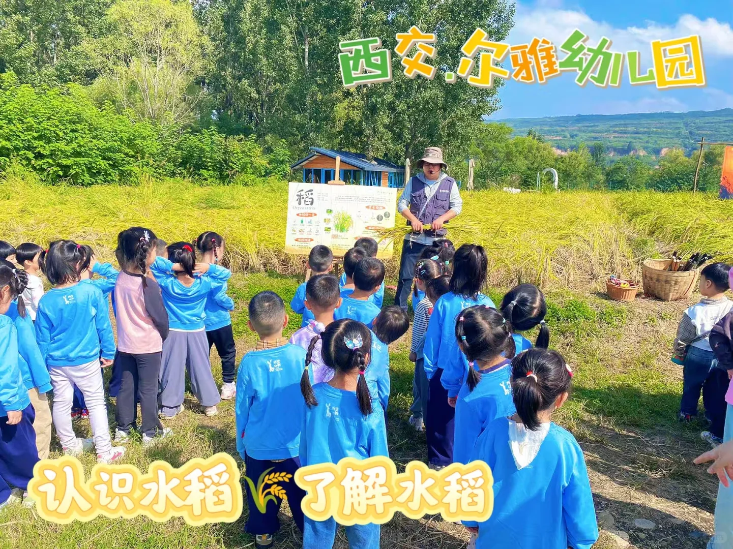 ?稻花香里说丰年、拾秋?